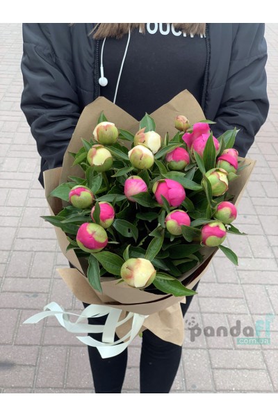 19 peonies