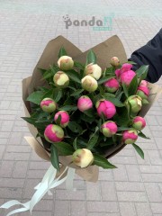 19 peonies