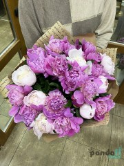 19 peonies mix