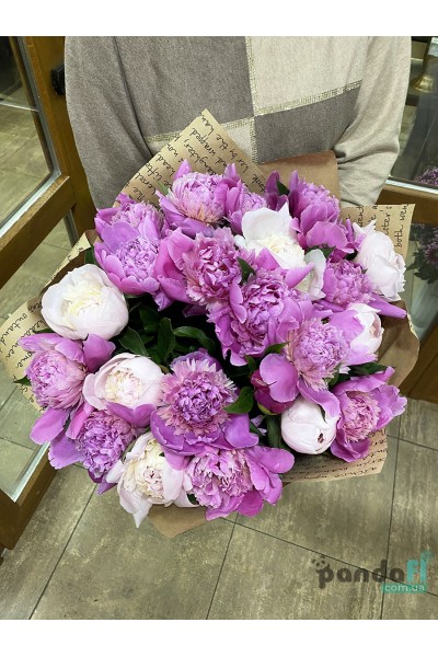 19 peonies mix