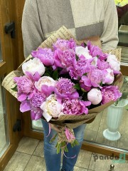 19 peonies mix