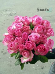 19 рожевих троянд Канді 70 см