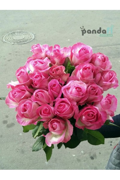 19 рожевих троянд Канді 70 см