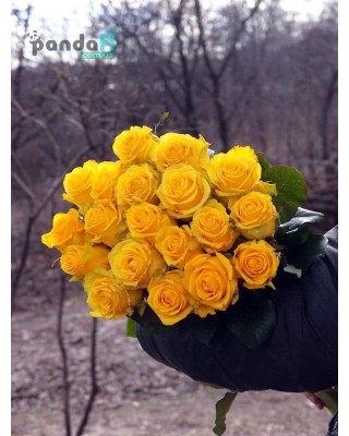19 yellow roses 80 cm