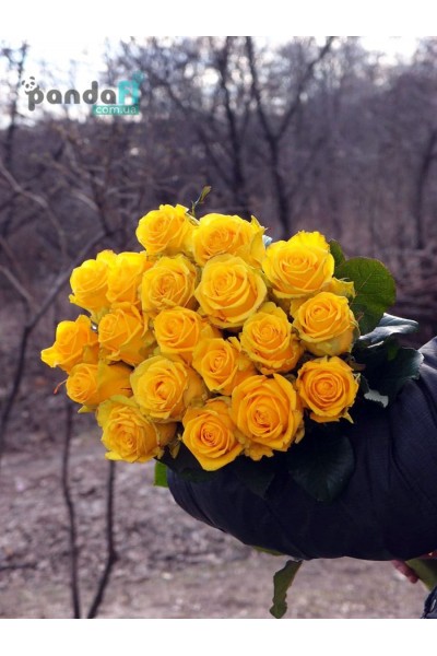 19 yellow roses 80 cm