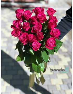 19 pink Shangri-La roses 70 cm