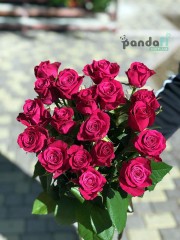 19 рожевих троянд Шангріла 70 см