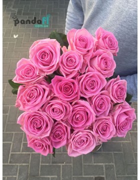 19 рожевих троянд Аква 70 см