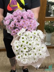2 букета по 7 хризантем