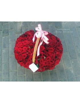 201 red roses in a basket
