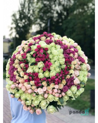 201 троянда мікс звичайна + кущова 80 см