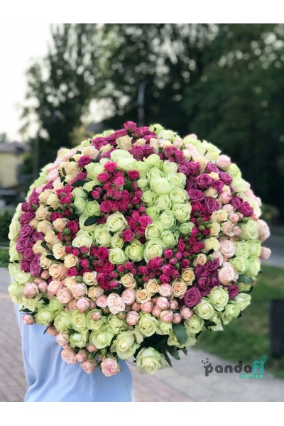 201 троянда мікс звичайна + кущова 80 см
