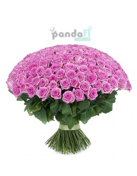 Buy 201 pink roses - pandafl.com.ua