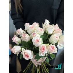 21 біло-рожева троянда 60 см
