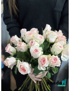 21 white and pink roses, 60 cm
