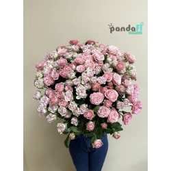 21 кущова троянда мікс 60 см