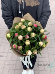 21 peonies