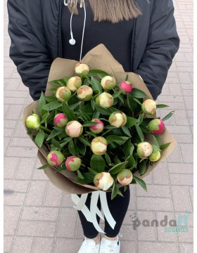21 півонія