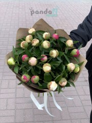 21 peonies