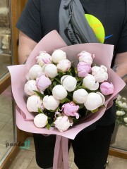 21 peony mix #2