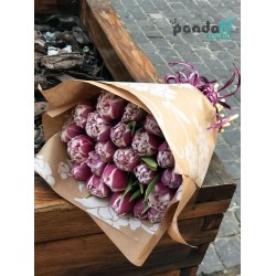 21 фиолетовый тюльпан