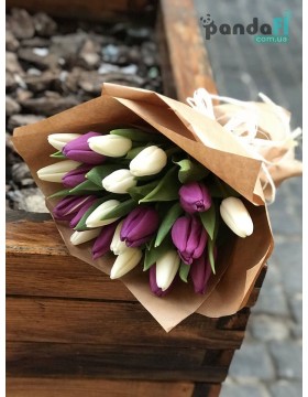 21 tulips, mixed white and purple
