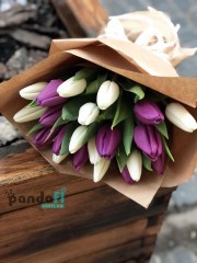21 тюльпан мікс білий та фіолетовий