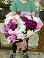 23 peonies mix