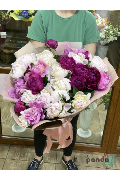 23 peonies mix