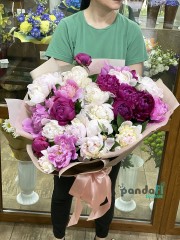 23 peonies mix