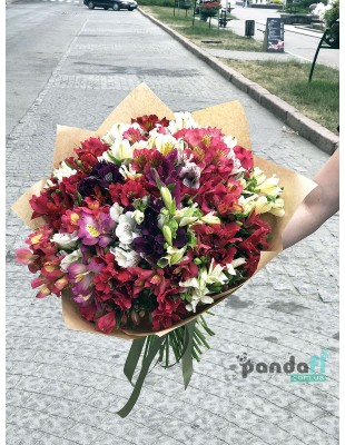 25 alstroemerias