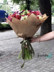 25 альстромерій