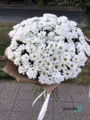 25 білих хризантем #2