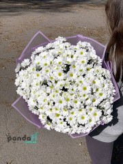 25 білих хризантем