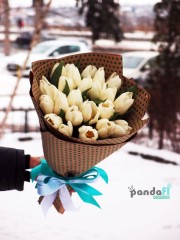 25 білих тюльпанів