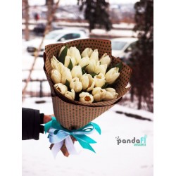 25 белых тюльпанов