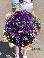 25 фіолетових еустом