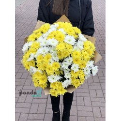 25 хризантем мікс