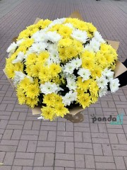 25 хризантем мікс