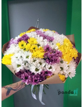25 chrysanthemums mix #2