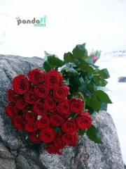 25 червоних троянд Престиж 90 см