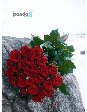 25 red roses Prestige 90 cm