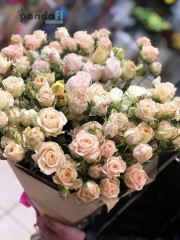 25 кущових троянд 60 см