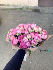 25 кущових піоноподібних троянд 50 см