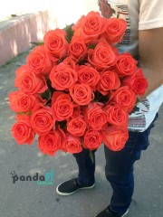 25 коралових троянд 70 см