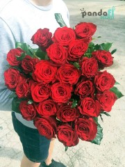 25 red roses 70 cm