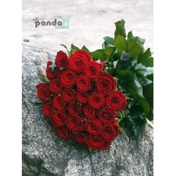 25 червоних троянд Гран При 90 см