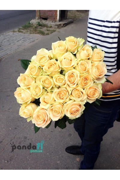 25 cream roses 80 cm