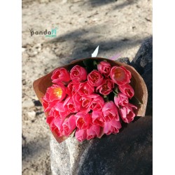 25 розовых тюльпанов