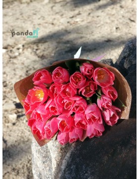 25 pink tulips